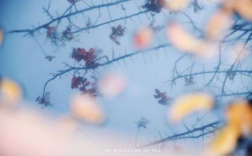 心灵的演讲稿优质8篇