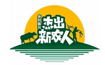 新农村调查报告5篇