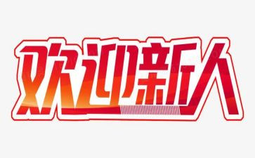 保险新人年终总结5篇
