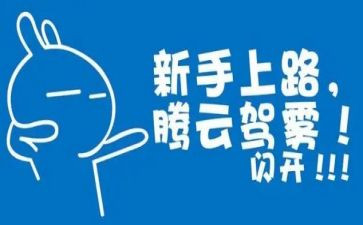 财务新手工作总结范文5篇