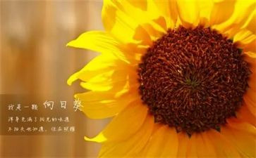 村干部新一年工作计划8篇