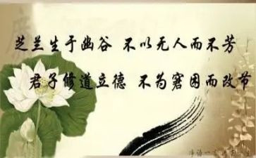 修身的心得体会7篇