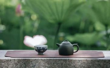 师德修养和心得体会8篇