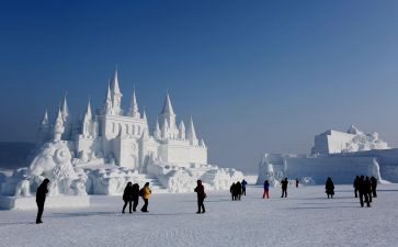 《雪》读后感200字优质5篇