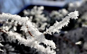 杨雪峰事迹心得体会5篇