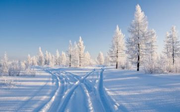 学校除雪心得体会优秀6篇