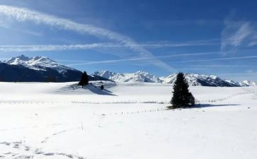 有关雪的中班教案模板6篇