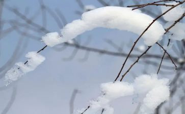 雪国心得体会6篇