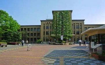 在学部的工作计划7篇