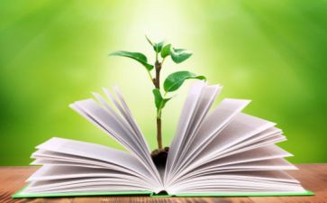 二上科学教学工作总结优质8篇