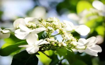 大学年终工作总结范文通用8篇