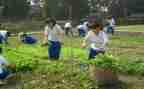 学农业的心得体会6篇