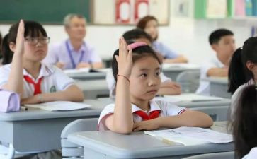 学生调查报告模板优质6篇