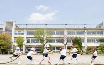 大学生暑假总结报告6篇