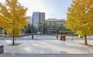2024年学校述职报告推荐5篇