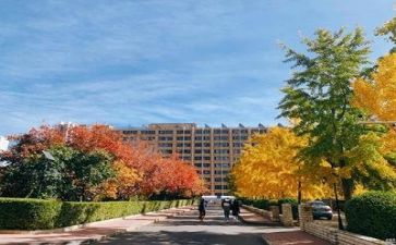 学校个人年度总结优质8篇