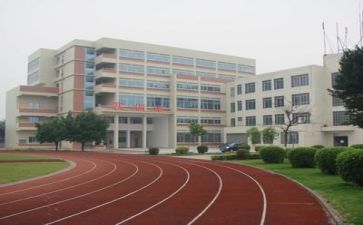 学校的心得体会作文8篇