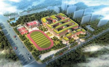 学校食堂个人述职报告5篇