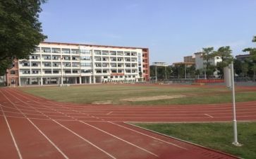 写对学校的心得体会6篇