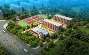学校财务报告总结8篇