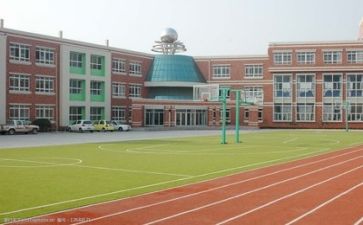 关于学校教师的心得体会8篇