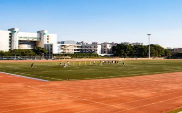 学校的教师工作总结范文优质8篇