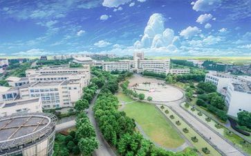 学校财务个人总结优秀5篇