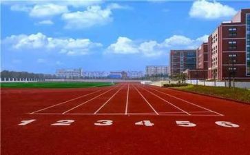 参加学校心得体会7篇