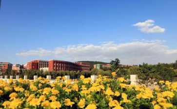 学校要写心得体会精选6篇