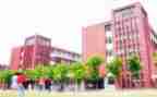 学校安全员主要事迹5篇