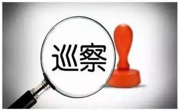 巡察个人总结8篇
