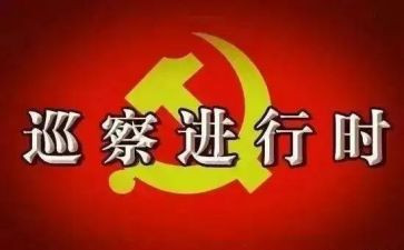 村向巡察组的汇报材料8篇