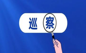巡察组长述职报告5篇