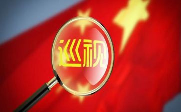 巡察组个人述职述廉报告6篇