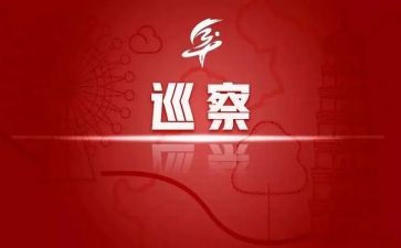 向巡察工作汇报材料6篇