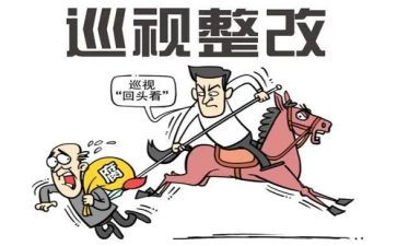 巡视组工作心得体会8篇