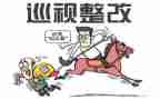 巡视组工作心得体会8篇