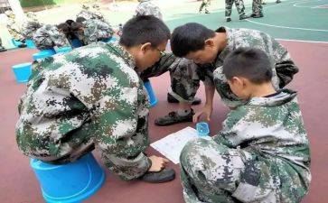 教育培训学校培训心得体会8篇