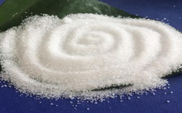 盐的文化的心得体会优秀5篇
