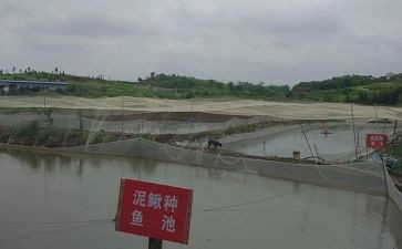 养殖场工作总结5篇