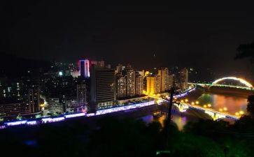 夜莺和鹰读后感5篇