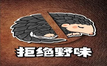 据食野味演讲稿优秀6篇