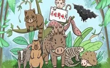 敬畏自然,拒绝野味的演讲稿8篇