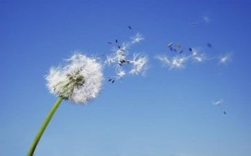 爱国主义教育月活动总结8篇