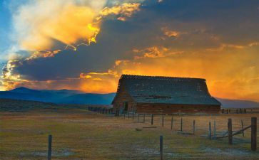 读三国演义读后感参考5篇