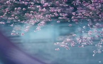 村安全生产一季度工作总结8篇