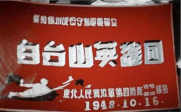 英雄杨靖宇读后感6篇