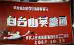 英雄杨靖宇读后感6篇