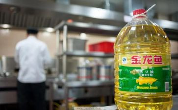 加油歌教案8篇