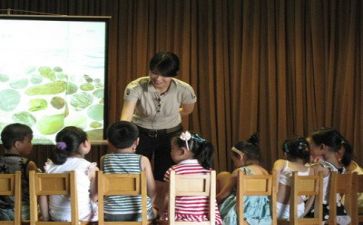 幼师年终总结个人总结7篇